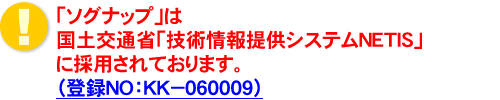 \Oibv̓
