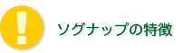 \Oibv̓